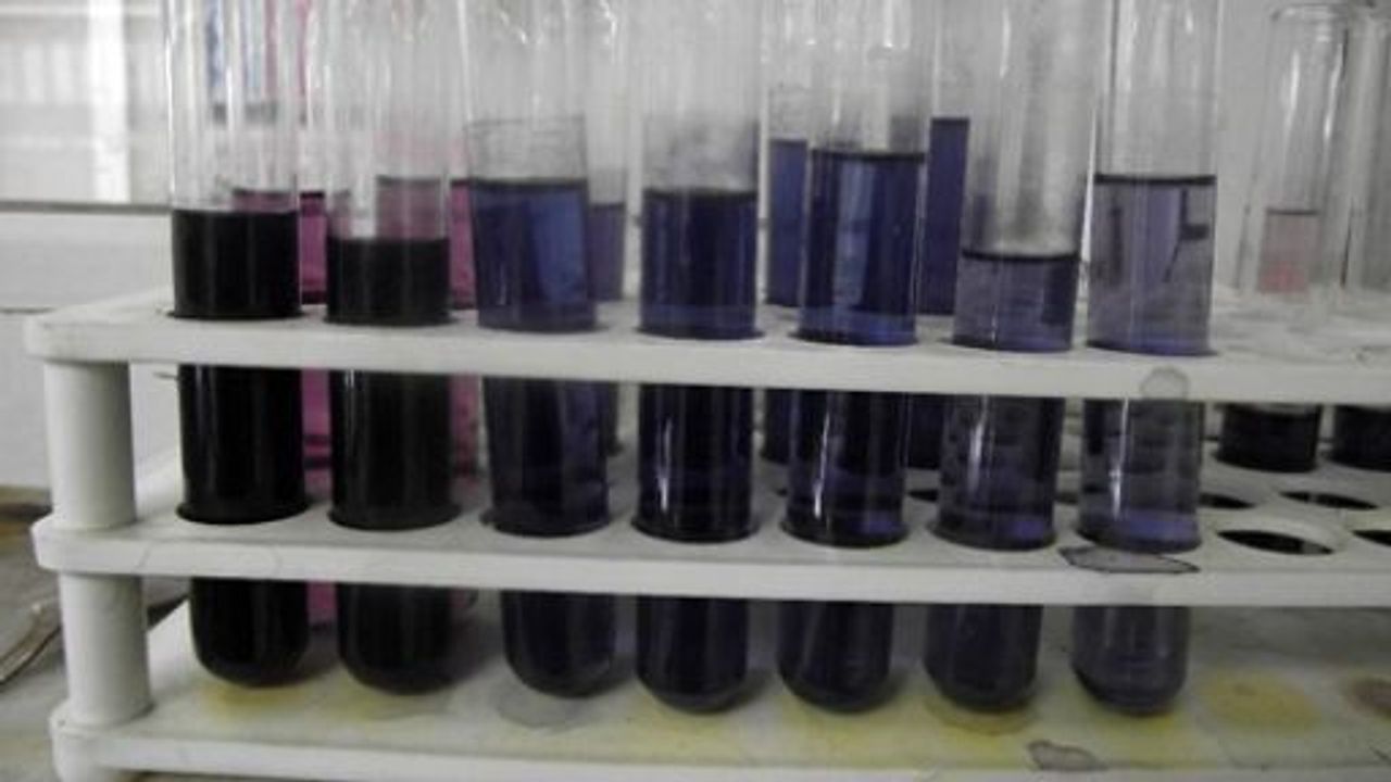 SANKO OKULLARININ DÖRT PROJESİ BÖLGE FİNALLERİNDE