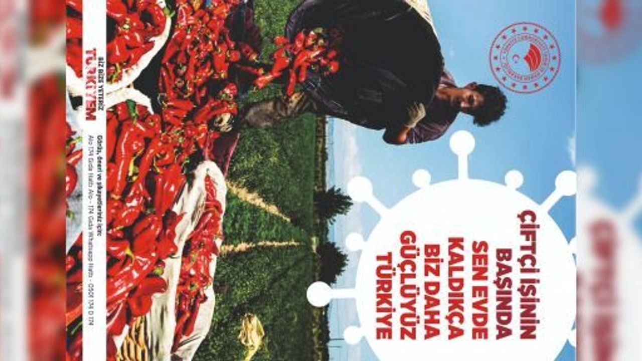 TÜRKOĞLU'NDA SEZONUN İLK ÜRÜNÜ YETİŞTİ