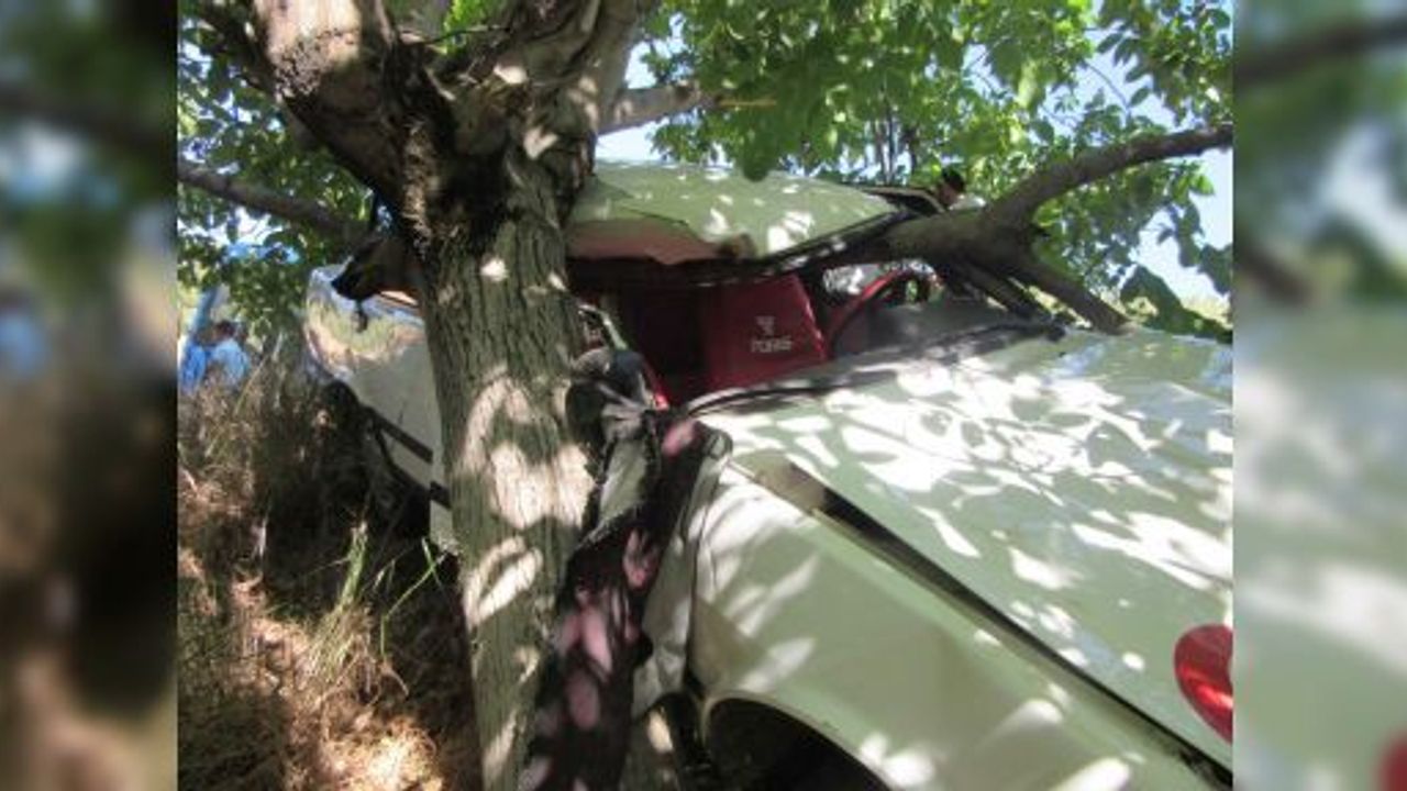 KONTROLÜ KAYBEDEN SÜRÜCÜ AĞACA TOSLADI; 2 YARALI