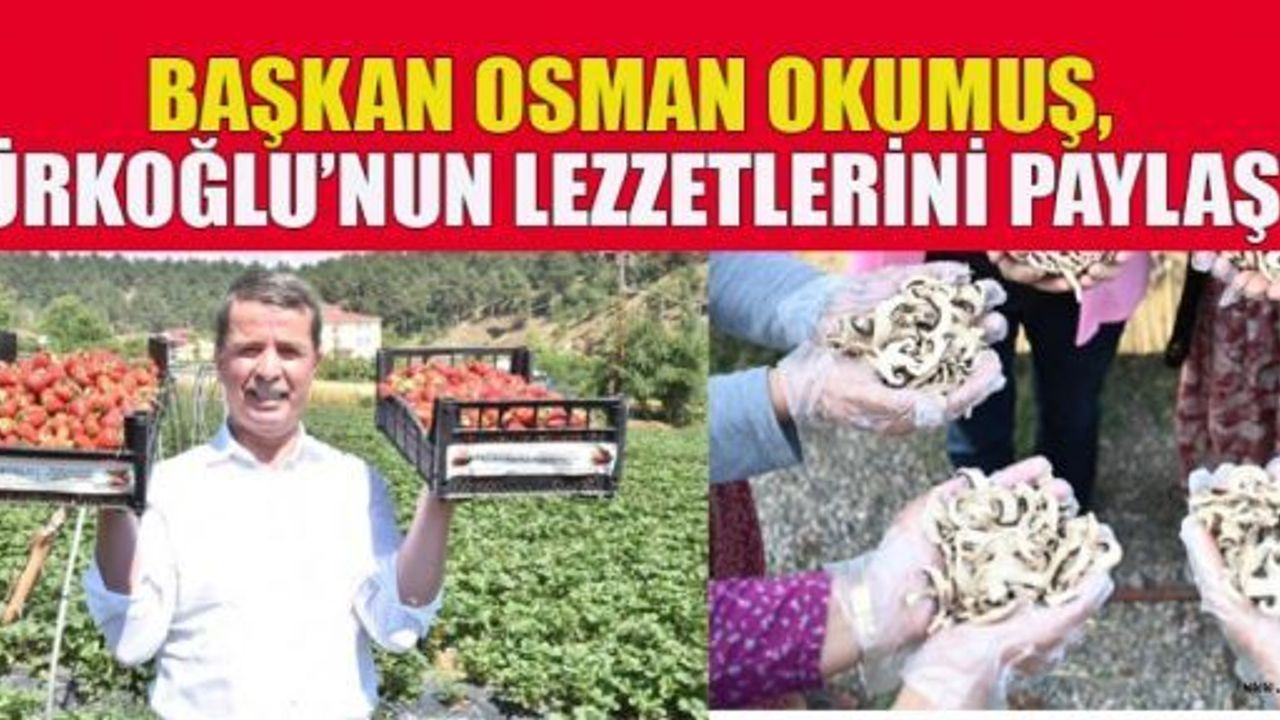 BAŞKAN OKUMUŞ, “TOPRAKLARIMIZDAN BEREKET FIŞKIRIYOR!”
