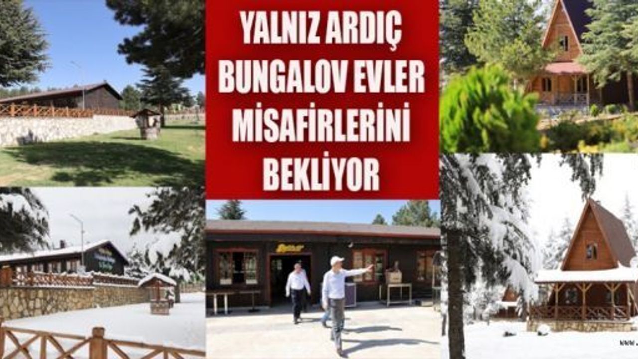 YALNIZ ARDIÇ BUNGALOV EVLER MİSAFİRLERİNİ BEKLİYOR