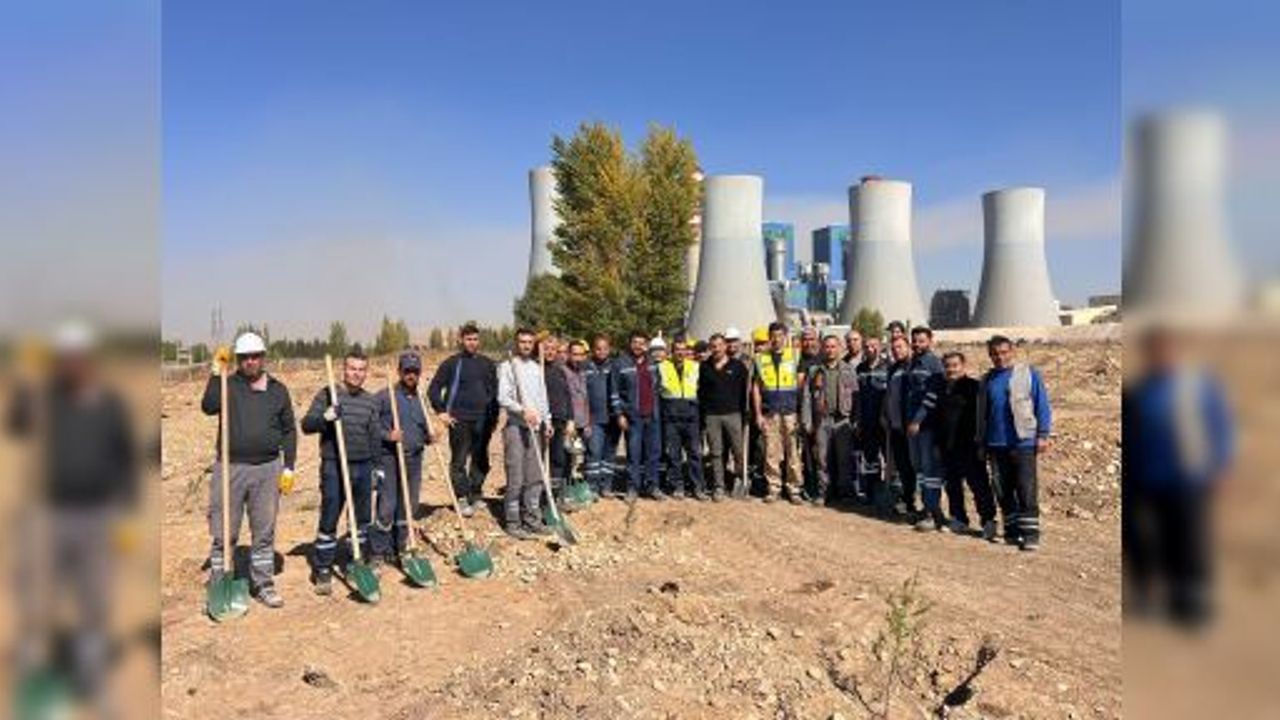 B TERMİK 1923 FİDAN TOPRAKLA BULUŞTU