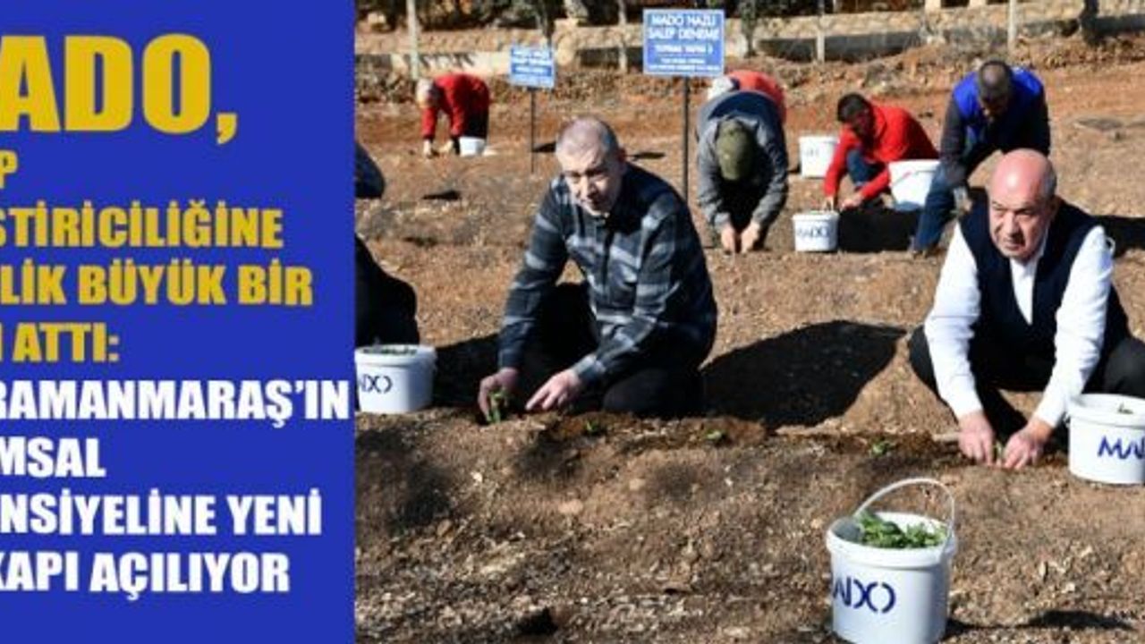 KANBUR: "SALEPSİZ DONDURMA, DONDURMASIZ SALEP OLMAZ!"