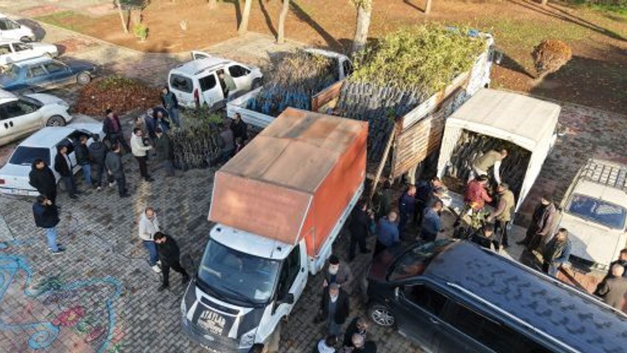 BÜYÜKŞEHİR’DEN 193 BİN ADET FİDAN DESTEĞİ