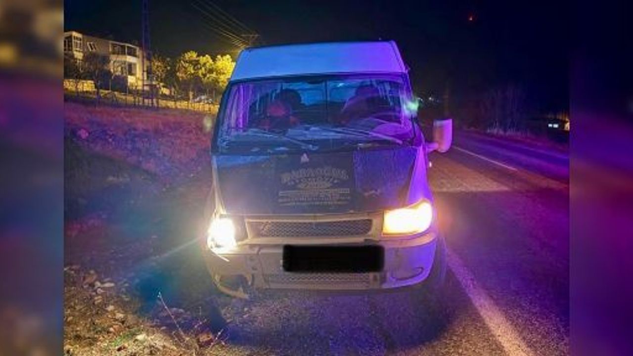 HAFİF TİCARİ ARACIN ÇARPTIĞI YAYA ÖLDÜ