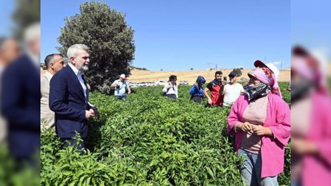 ÇİFTÇİYE 100 MİLYONLUK DESTEK, ÜRETİME GÜÇ