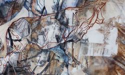 BİRAZ TAŞ, BİRAZ HAYVAN, BİRAZ DÜŞ