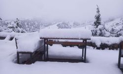 YARIN EĞİTİME 1 GÜN ARA