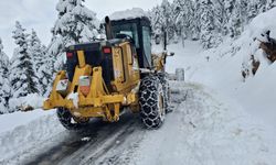 BÜYÜKŞEHİR İLÇELERDE KAR TEMİZLİĞİ İÇİN SAHADA