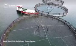 BALIK ÜRETİMİNDE REKOR