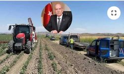 BALSUYU İSİTANBUL’DA YAKALANDI