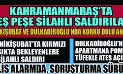 PEŞ PEŞE SİLAHLI SALDIRILAR