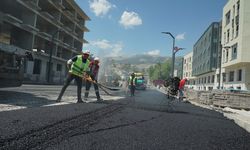 TRABZON BULVARI VE KENTSEL TASARIM ALANLARININ ULAŞIMI