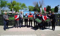 ÜRETİCİYE 650 BİN HİBE BİBER FİDESİ