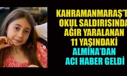 ALMİNA, HAYATA TUTUNAMADI