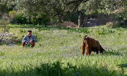 TÜRKİYE’Yİ BEKLEYEN TEHLİKE, KURAKLIK VE YOK OLAN MERALAR