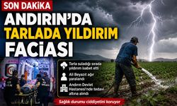 TARLADA YILDIRIM İSABET ETTİ: 1 YARALI