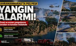 ORMAN YANGINLARI KORKUTTU