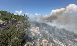 ORMAN YANGINI KISMEN KONTROL ALTINA ALINDI