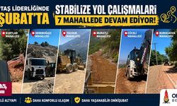 ONİKİŞUBAT'TA 7 MAHALLEDE YOL SEFERBERLİĞİ SÜRÜYOR