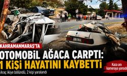 YİNE KAZA, YİNE CAN KAYBI