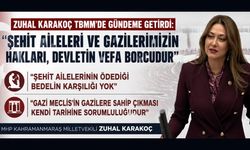 ŞEHİT VE GAZİLERİMİZE SAHİP ÇIKMAK