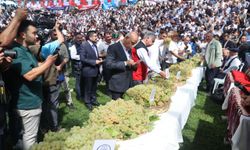 30. ER MEYDANI BERTİZ’DE KURULUYOR