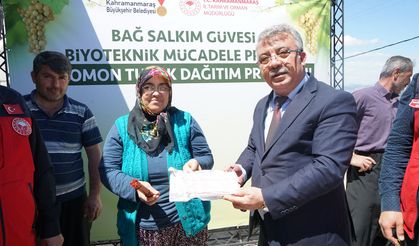 KABARCIK ÜZÜMÜNE DOĞAL KORUMA