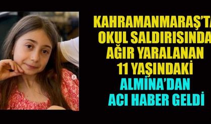 ALMİNA, HAYATA TUTUNAMADI