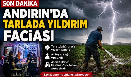 TARLADA YILDIRIM İSABET ETTİ: 1 YARALI
