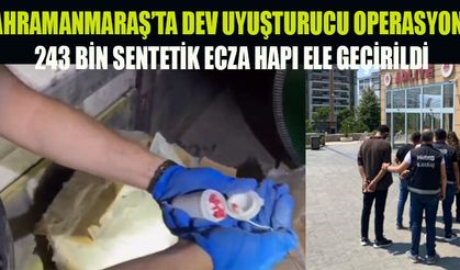 TEK OPERASYONDA 243 BİN SENTETİK ECZA HAP ELE GEÇİRİLDİ