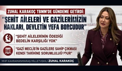 ŞEHİT VE GAZİLERİMİZE SAHİP ÇIKMAK