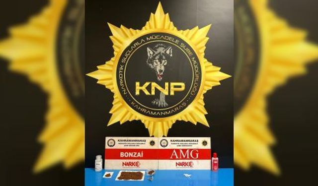 NARKOTİK OPERASYONU: 2 TUTUKLAMA