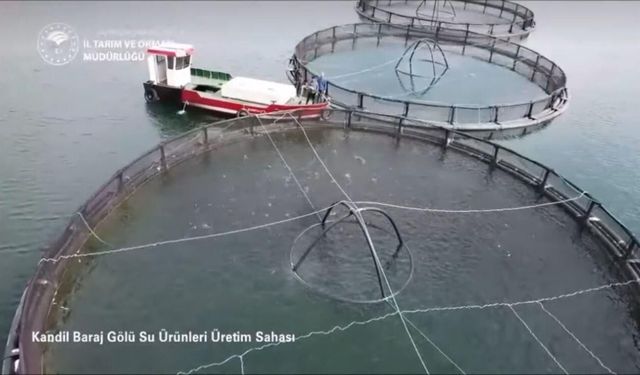 BALIK ÜRETİMİNDE REKOR