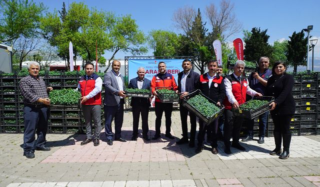 ÜRETİCİYE 650 BİN HİBE BİBER FİDESİ