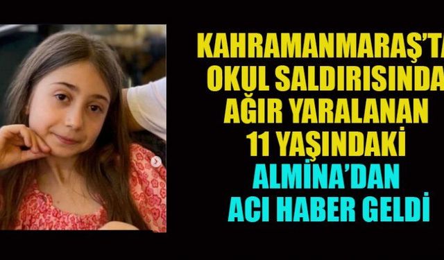 ALMİNA, HAYATA TUTUNAMADI
