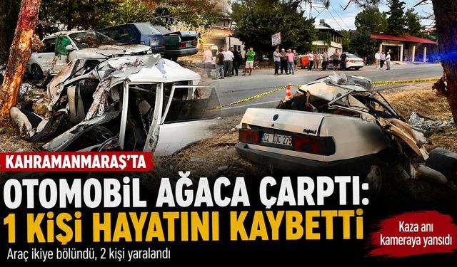 YİNE KAZA, YİNE CAN KAYBI