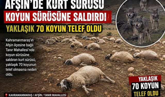 KURDUN HUYUDUR KOYUN SÜRÜSÜNE SALDIRMAK