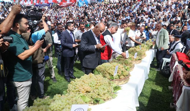 30. ER MEYDANI BERTİZ’DE KURULUYOR