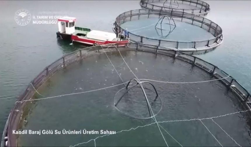 BALIK ÜRETİMİNDE REKOR