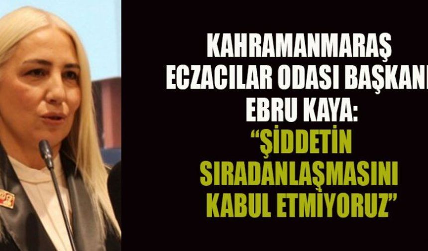 BAŞKANI KAYA; “ARTAN ŞİDDET TOPLUMSAL BİR YARA”