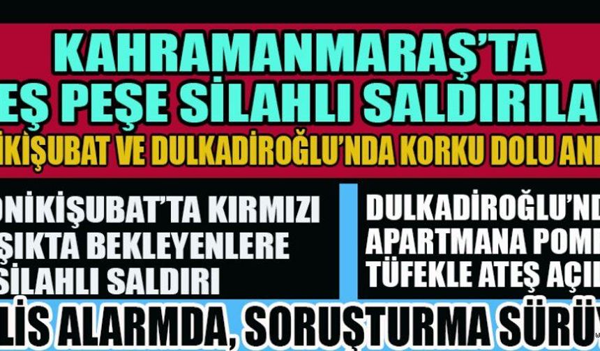 PEŞ PEŞE SİLAHLI SALDIRILAR