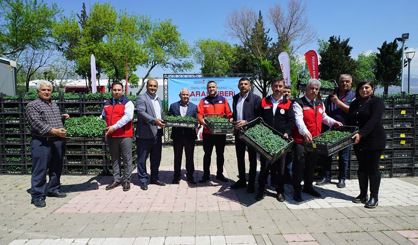 ÜRETİCİYE 650 BİN HİBE BİBER FİDESİ