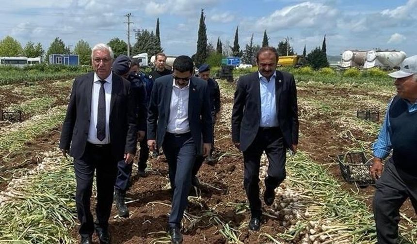 PAZARCIK’TA SARIMSAK HASADI