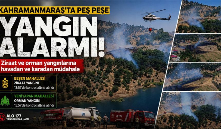 ORMAN YANGINLARI KORKUTTU