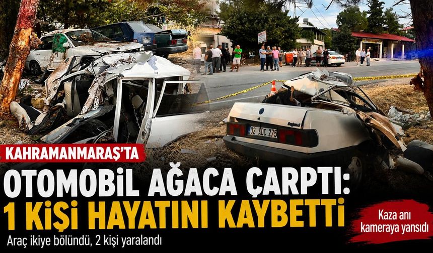 YİNE KAZA, YİNE CAN KAYBI