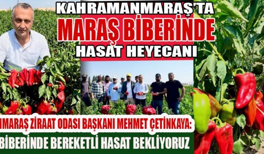 BAŞKAN ÇETİNKAYA: MARAŞ BİBERİ KÜLTÜREL MİRASIMIZ!