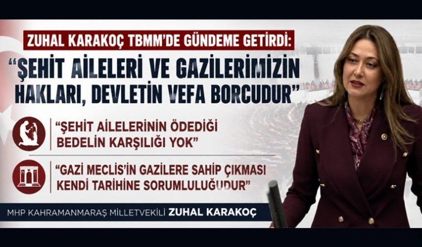 ŞEHİT VE GAZİLERİMİZE SAHİP ÇIKMAK