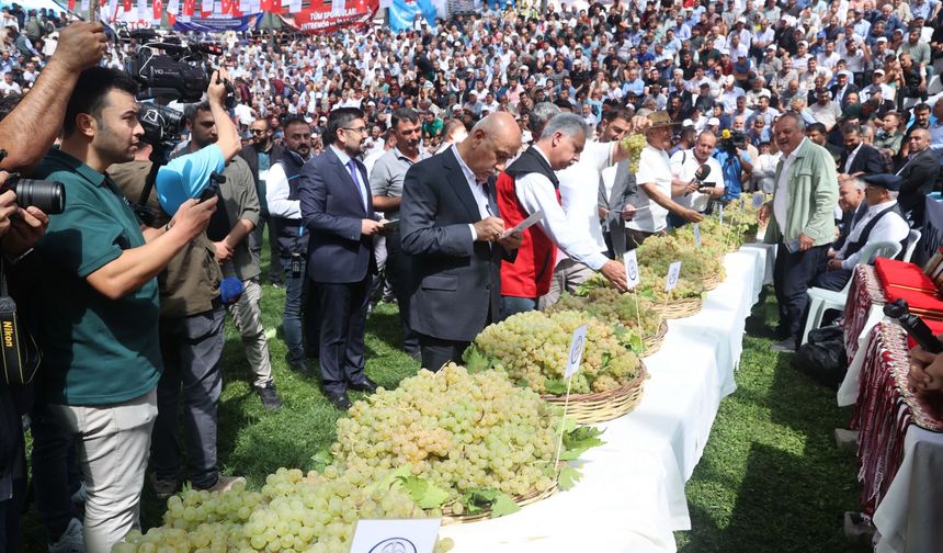 30. ER MEYDANI BERTİZ’DE KURULUYOR